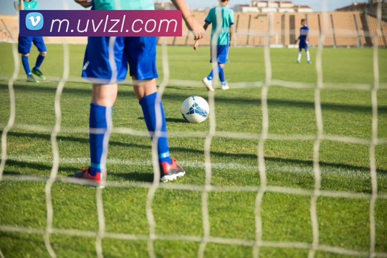 多彩内容专区